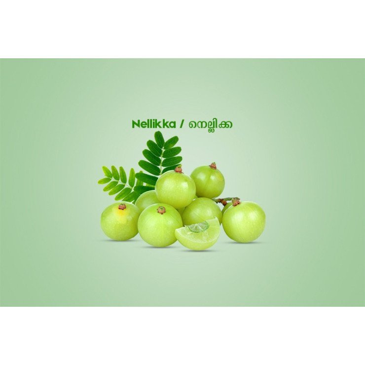 Nellikka /  നെല്ലിക്ക - 250gm